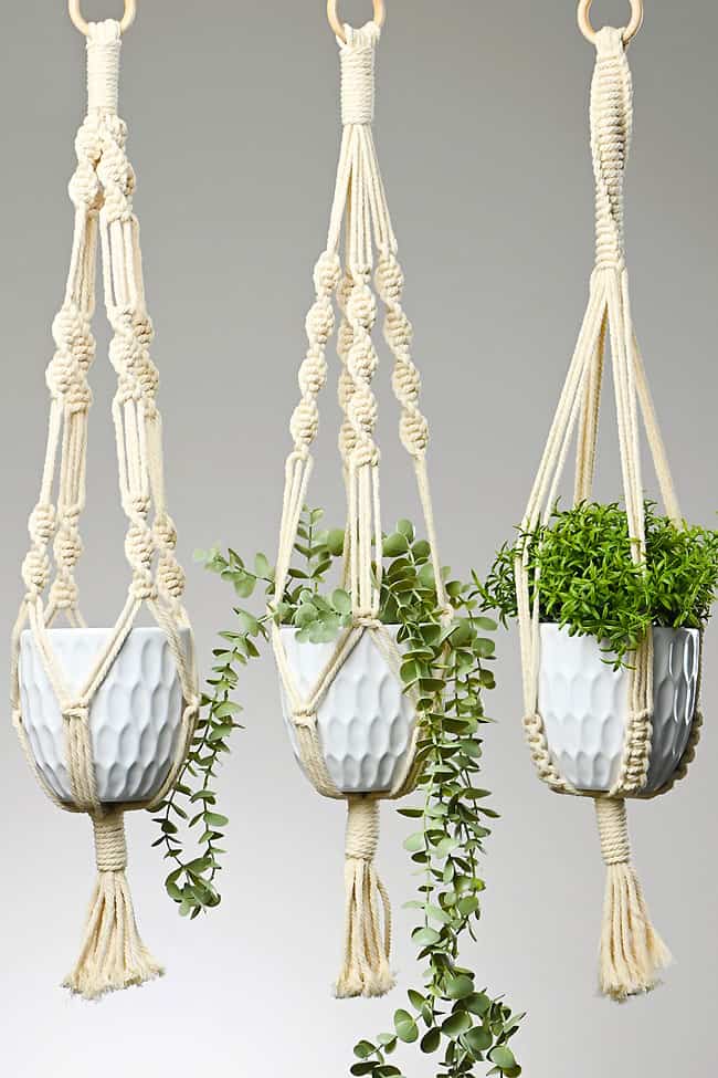 Macramé Plant Hanger Workshop